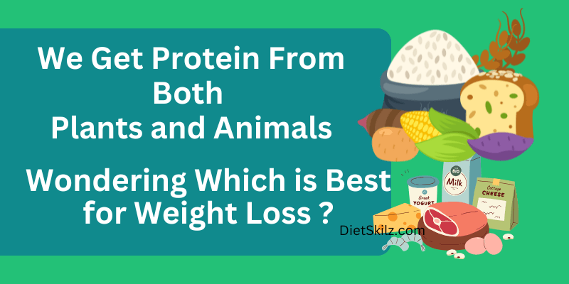 Plant-Based Protein vs Animal Protein for Weight Loss